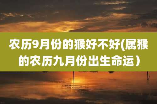 农历9月份的猴好不好(属猴的农历九月份出生命运）