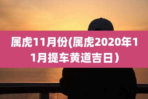 属虎11月份(属虎2020年11月提车黄道吉日）
