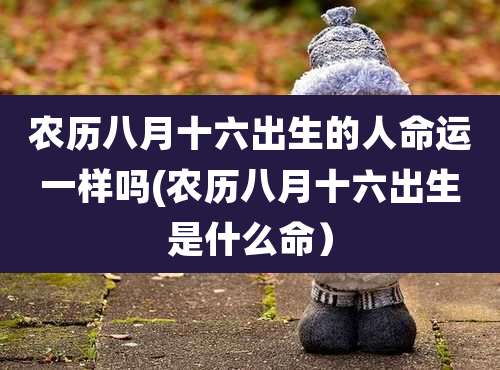 农历八月十六出生的人命运一样吗(农历八月十六出生是什么命）