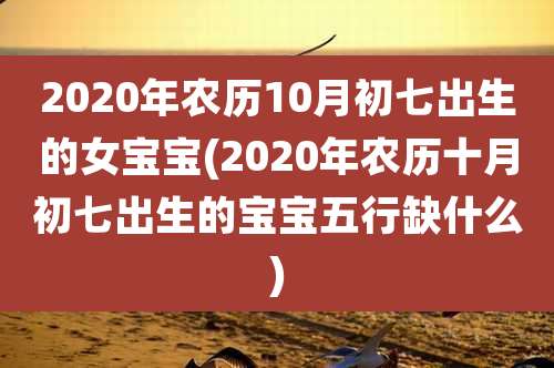 2020年农历10月初七出生的女宝宝(2020年农历十月初七出生的宝宝五行缺什么)