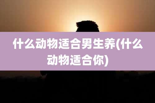 什么动物适合男生养(什么动物适合你)