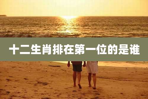 十二生肖排在第一位的是谁