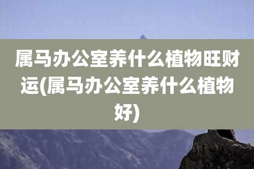 属马办公室养什么植物旺财运(属马办公室养什么植物好)