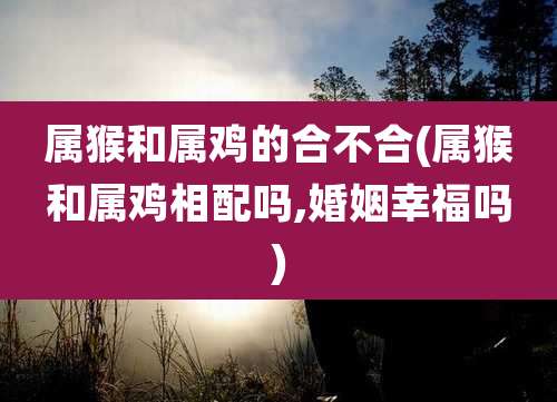 属猴和属鸡的合不合(属猴和属鸡相配吗,婚姻幸福吗)