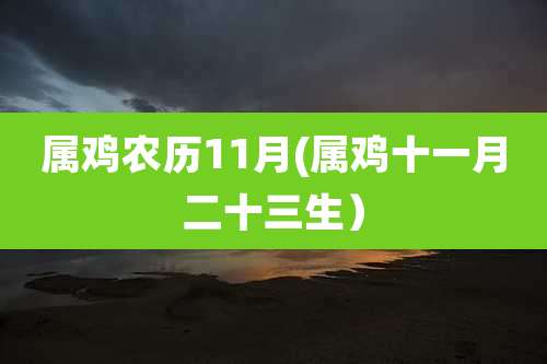 属鸡农历11月(属鸡十一月二十三生）