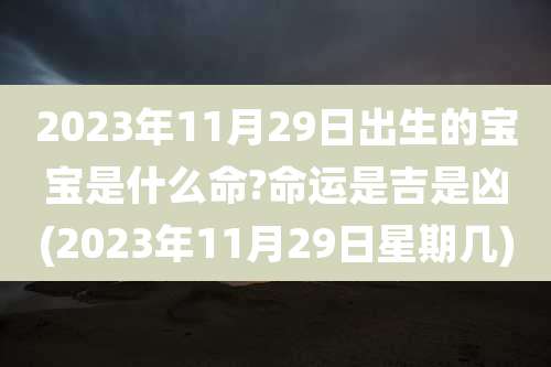 2023年11月29日出生的宝宝是什么命?命运是吉是凶(2023年11月29日星期几)