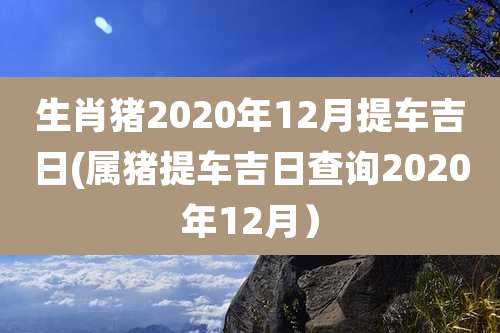 生肖猪2020年12月提车吉日(属猪提车吉日查询2020年12月)