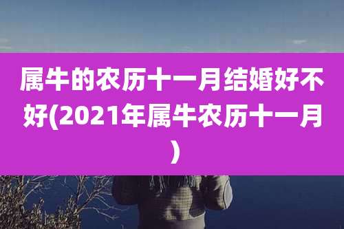属牛的农历十一月结婚好不好(2021年属牛农历十一月)