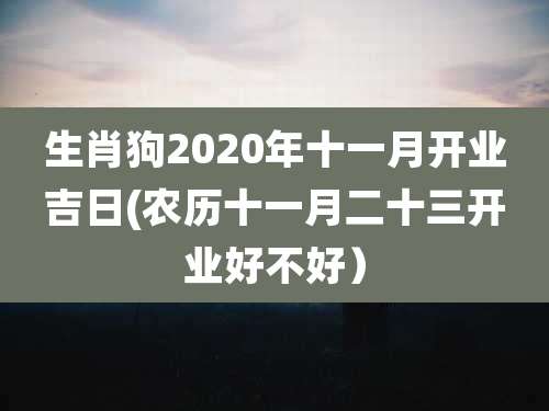生肖狗2020年十一月开业吉日(农历十一月二十三开业好不好)