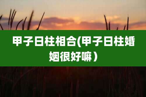 甲子日柱相合(甲子日柱婚姻很好嘛)