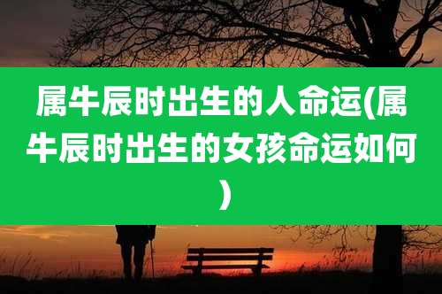属牛辰时出生的人命运(属牛辰时出生的女孩命运如何)