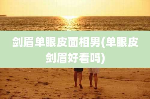 剑眉单眼皮面相男(单眼皮剑眉好看吗)