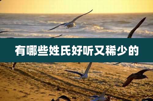 有哪些姓氏好听又稀少的