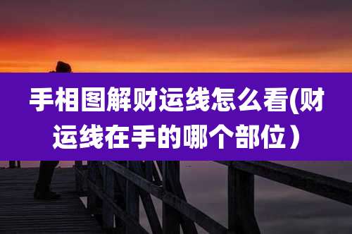 手相图解财运线怎么看(财运线在手的哪个部位)