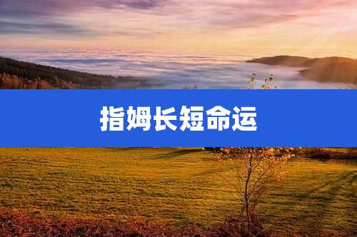 指姆长短命运