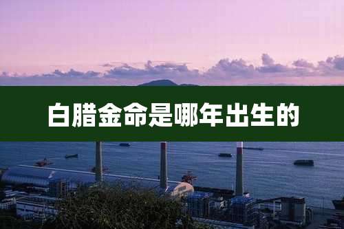 白腊金命是哪年出生的