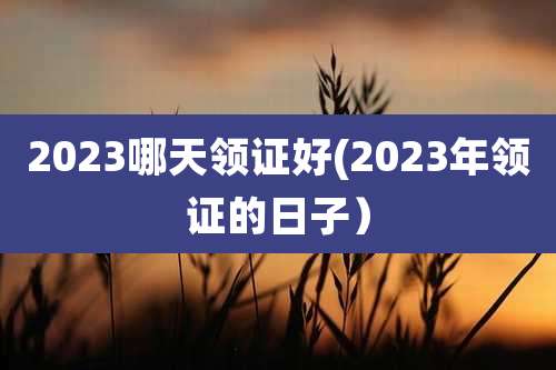 2023哪天领证好(2023年领证的日子）
