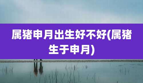 属猪申月出生好不好(属猪生于申月)