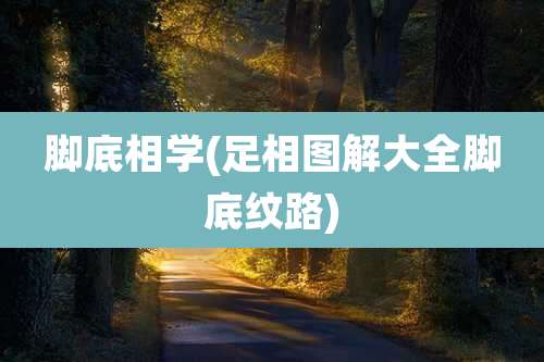 脚底相学(足相图解大全脚底纹路)