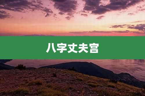 八字丈夫宫