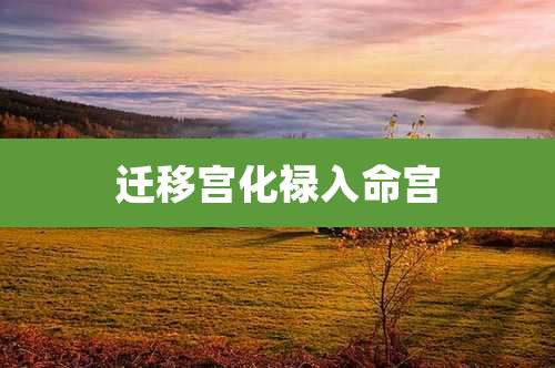 迁移宫化禄入命宫