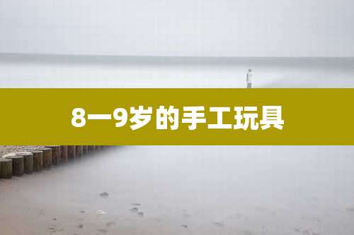 8一9岁的手工玩具