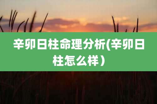 辛卯日柱命理分析(辛卯日柱怎么样）