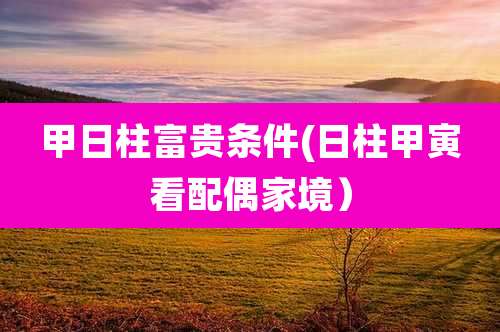 甲日柱富贵条件(日柱甲寅看配偶家境)