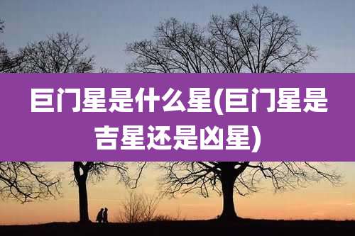 巨门星是什么星(巨门星是吉星还是凶星)