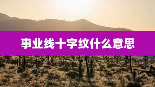 事业线十字纹什么意思