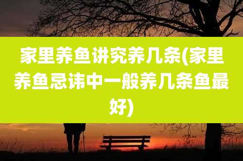 家里养鱼讲究养几条(家里养鱼忌讳中一般养几条鱼最好)