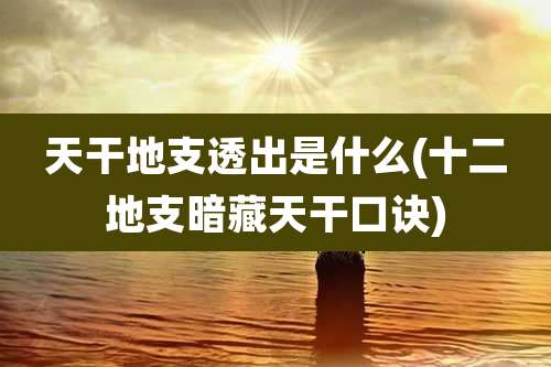 天干地支透出是什么(十二地支暗藏天干口诀)