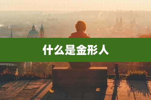 什么是金形人