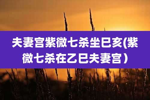 夫妻宫紫微七杀坐巳亥(紫微七杀在乙巳夫妻宫)