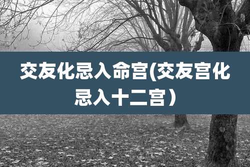 交友化忌入命宫(交友宫化忌入十二宫)