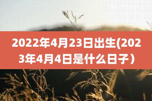 2022年4月23日出生(2023年4月4日是什么日子）