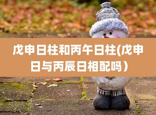 戊申日柱和丙午日柱(戊申日与丙辰日相配吗)