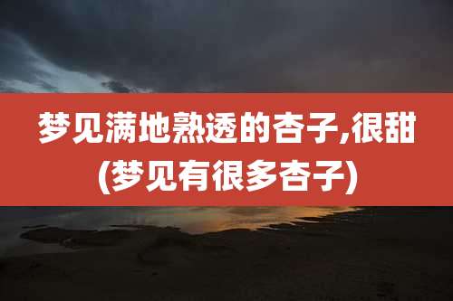 梦见满地熟透的杏子,很甜(梦见有很多杏子)