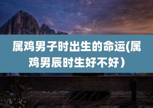 属鸡男子时出生的命运(属鸡男辰时生好不好）