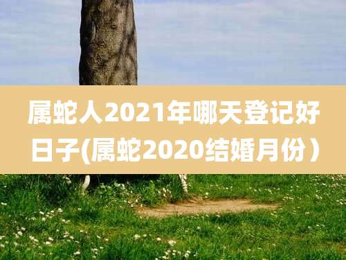 属蛇人2021年哪天登记好日子(属蛇2020结婚月份)