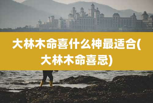 大林木命喜什么神最适合(大林木命喜忌)