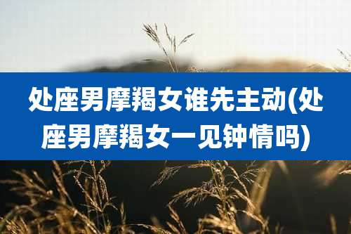 处座男摩羯女谁先主动(处座男摩羯女一见钟情吗)