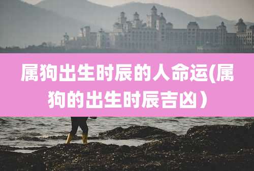 属狗出生时辰的人命运(属狗的出生时辰吉凶）