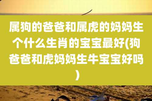 属狗的爸爸和属虎的妈妈生个什么生肖的宝宝最好(狗爸爸和虎妈妈生牛宝宝好吗)