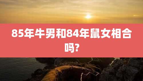 85年牛男和84年鼠女相合吗?