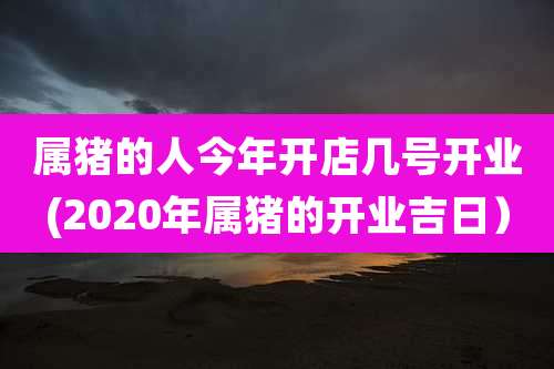 属猪的人今年开店几号开业(2020年属猪的开业吉日)