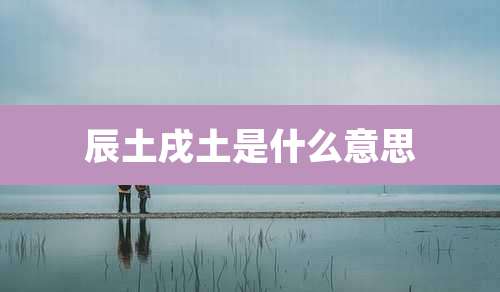 辰土戌土是什么意思