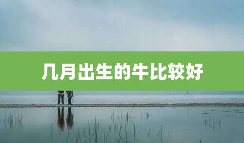 几月出生的牛比较好