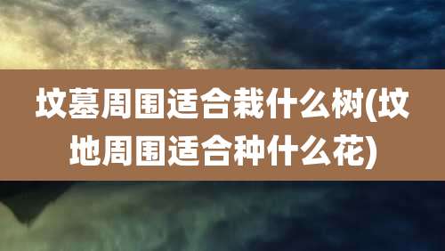 坟墓周围适合栽什么树(坟地周围适合种什么花)
