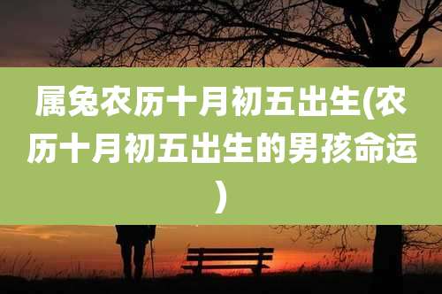 属兔农历十月初五出生(农历十月初五出生的男孩命运)